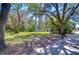 Wide front lawn with mature trees and a storage shed, creating a picturesque and inviting curb appeal at 4041 Lane Rd, Zephyrhills, FL 33541