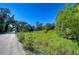 Expansive view of grassy land accented by a roadside and lush trees against a vibrant blue sky at 4041 Lane Rd, Zephyrhills, FL 33541