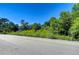 Vacant land parcel surrounded by lush trees, offering a serene and private setting at 4041 Lane Rd, Zephyrhills, FL 33541