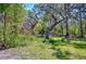 Image of grassy lot surrounded by mature trees at 4041 Lane Rd, Zephyrhills, FL 33541
