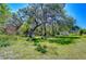 Lush greenery surrounds the residence with shade trees and grassy lawn with storage building at 4041 Lane Rd, Zephyrhills, FL 33541
