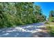 Open road view, surrounded by lush trees and greenery on a sunny day with a clear blue sky at 4041 Lane Rd, Zephyrhills, FL 33541