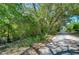 Scenic street view with lush trees and greenery, creating a natural and tranquil setting at 4041 Lane Rd, Zephyrhills, FL 33541