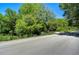 Scenic road view, surrounded by lush trees and greenery, perfect for a peaceful drive or stroll at 4041 Lane Rd, Zephyrhills, FL 33541