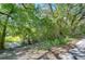 Scenic street view with lush trees and greenery, creating a natural and tranquil setting at 4041 Lane Rd, Zephyrhills, FL 33541