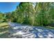 Scenic street view with mature trees lining the road, offering a serene and private approach to the property at 4041 Lane Rd, Zephyrhills, FL 33541