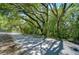 Lush, tree-lined street provides a serene approach to the property, offering shade and privacy at 4041 Lane Rd, Zephyrhills, FL 33541