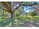 Spacious yard with lush trees and a charming home in the background, offering a serene and inviting atmosphere at 4041 Lane Rd, Zephyrhills, FL 33541