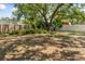 Spacious backyard featuring mature trees providing ample shade, perfect for outdoor enjoyment at 8721 N Whittier St, Tampa, FL 33617