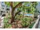 Beautiful landscaped garden view, leading to the community pool and building at 105 4Th Ne Ave # 220, St Petersburg, FL 33701