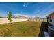 Manicured backyard surrounded by a fence, providing a private outdoor area at 1304 Tahitian Sunrise Dr, Plant City, FL 33565