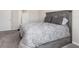 Well-lit bedroom featuring carpet, a bed with patterned linens, and access to the bathroom at 1304 Tahitian Sunrise Dr, Plant City, FL 33565