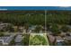Aerial view of a tree lined neighborhood street with mature landscaping at 16528 Oley Ridge Ct, Tampa, FL 33624