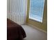 Bright bedroom featuring natural light from the window and a closet with paneled doors at 18412 Oriole St, Lutz, FL 33558