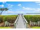 Private dock featuring a wooden walkway, offering direct access to the tranquil bay at 2081 Pointe Alexis Dr, Tarpon Springs, FL 34689