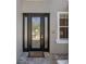 Close-up of the elegant front door with decorative glass panels and stone accents at 27318 Sora Blvd, Wesley Chapel, FL 33544