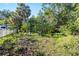 Expansive fenced backyard featuring a variety of tropical plants and room to roam at 6907 W Creek Dr, Tampa, FL 33615