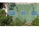 Aerial view of a blue and green basketball court surrounded by trees at 9159 Highland Ridge Way, Tampa, FL 33647