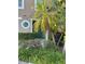 Charming front door with lush landscaping and mature palm trees at 9508 Ashburn Creek Ln, Tampa, FL 33610