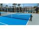 Outdoor pickleball court offers black fencing and blue surface with palm trees on a sunny day at 10865 Rustic Eve Ct, Land O Lakes, FL 34638