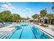Community pool offers a sleek design, palm trees, and comfortable lounge chairs for relaxation and socializing at 10865 Rustic Eve Ct, Land O Lakes, FL 34638