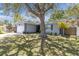 Charming single-story home featuring a landscaped front yard and a large shade tree at 1428 Chesterfield Dr, Dunedin, FL 34698