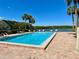 Inviting pool area surrounded by palm trees, lounge chairs, and serene lake views at 14926 Feather Cove Rd, Clearwater, FL 33762