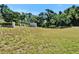 Expansive backyard with mature trees, offering plenty of space and privacy at 1603 Cottagewood Dr, Brandon, FL 33510