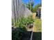 Raised garden beds flourish with lush greenery, offering fresh produce in the backyard at 1748 Ragland Ave, Clearwater, FL 33765