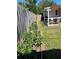 Vegetable garden adjacent to backyard with patio at 1748 Ragland Ave, Clearwater, FL 33765