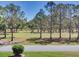 Scenic view of the golf course at 2700 Cove Cay Dr # 1-2D, Clearwater, FL 33760