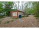 View of an outbuilding with bamboo forest surround requiring extensive maintenance for optimal use and appeal at 3027 W Helen Ave, Tampa, FL 33611
