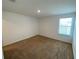 Neutral bedroom featuring fresh paint and plush carpeting at 35003 Daisy Meadow Loop, Zephyrhills, FL 33541
