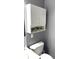 The bathroom boasts a stylish mirrored cabinet with decorative plants, enhancing the vanity area's appeal at 5940 30Th S Ave # 206, Gulfport, FL 33707