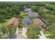 Aerial view showcasing homes with beautiful landscaping and mature trees at 6006 Chellas Ct, Lutz, FL 33558