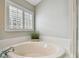 Bathroom features a soaking tub, glass block window, and shower at 6006 Chellas Ct, Lutz, FL 33558