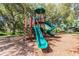 A view of a colorful playground with slides and climbing structures at 6006 Chellas Ct, Lutz, FL 33558
