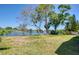 Green backyard with waterfront views, a tree line, and plenty of room for outdoor enjoyment at 775 S Bayshore Blvd, Safety Harbor, FL 34695