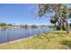 Expansive backyard with lush green lawn and scenic waterfront views, perfect for outdoor activities at 775 S Bayshore Blvd, Safety Harbor, FL 34695