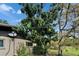 Exterior view of a home showing a large tree in the yard near the side of the home at 117 Myrtle Ln, Plant City, FL 33565