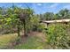 Lush landscaping creates a tranquil pathway leading to the home's entrance at 117 Myrtle Ln, Plant City, FL 33565