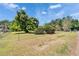 Spacious front yard enclosed by a chain-link fence featuring mature trees, and lush green grass at 117 Myrtle Ln, Plant City, FL 33565