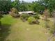 Spacious backyard with mature landscaping surrounding the home and lots of green grass at 117 Myrtle Ln, Plant City, FL 33565