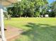 Expansive backyard featuring a lush lawn, mature trees, and ample space for outdoor activities and potential landscaping projects at 1203 Durant Rd, Brandon, FL 33511