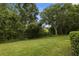 Lush backyard with mature trees and green grass at 1640 Lullwater Ln, Lutz, FL 33549