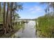 Scenic lake view with dock surrounded by lush reeds and moss-draped trees under a clear blue sky at 1640 Lullwater Ln, Lutz, FL 33549