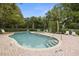 Community pool with lounge chairs, manicured landscaping, and clear blue water at 1640 Lullwater Ln, Lutz, FL 33549