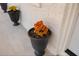 Exterior home detail showing flower pot with colorful flowers at the front door at 1820 Mississippi Ave Ne, St Petersburg, FL 33703