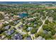Expansive aerial view of a leafy neighborhood with winding streets, mature trees, and a tranquil lake at 29540 Chapel Park Dr, Wesley Chapel, FL 33543