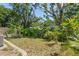 Expansive backyard featuring mature trees, lush greenery, and a small garden bed at 3105 Gordon Ct, Tampa, FL 33619